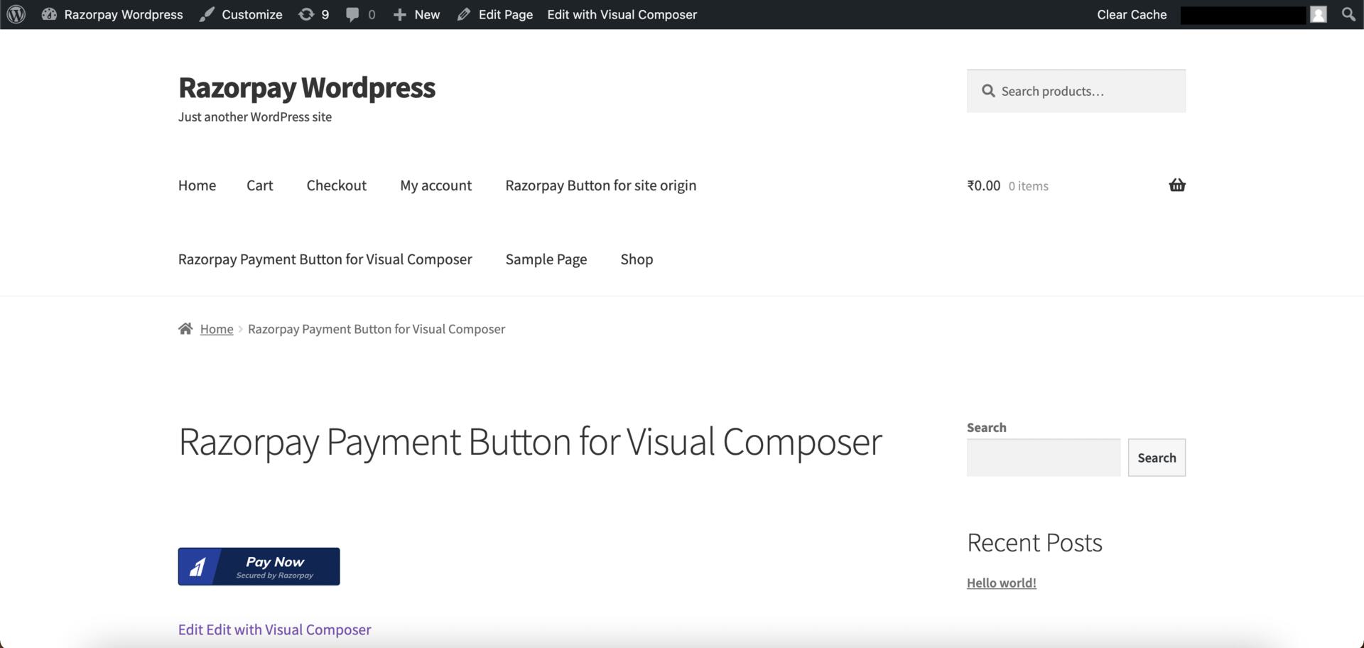 Payment Button Appears